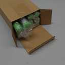 12 Pcs Glow Sticks Reusable 15 Colors LED Light up Stick Bulk Glow in the Dark Party Supplies Flashing Bright Lightsticks with Aaa Battery Powered for Concert Halloween Carnival (Green)