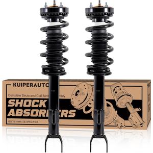 Front Complete Struts Coil Spring Assembly 172665 Compatible with 2012-2022 Dodge Challenger 2012-2022 Charger Replacement Shock Absorbers (Front Struts - 2 Pcs)