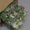 Sherr 60 Pcs White Rose Boutonniere for Men Wedding Corsage Rose Groom and Groomsmen Boutonniere with Artificial Flower for Rustic Vintage Wedding Ceremony Anniversary Dinner Prom Party