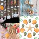 UEIEU gopiter Sea Shells - Beach Mixed Seashells - Various Size up to 2" Natural sea Shells for Crafting Fish Tank Vase Fillers Beach Theme Party Wedding Decor Home Decorations DIY Crafts (Color)