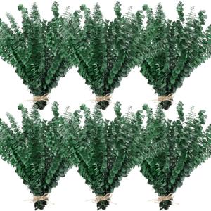 Knitgrip 80 Pcs Large Dried Eucalyptus Stems 17inch Natural Real Fresh Eucalyptus Branches for Shower Hanging Fresh Plant Greenery Leaves for Wedding Bathroom Vase Filler DIY Garland Decor
