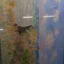 KISSFOX Monet Wall Art Cliff Walk Impressionist Canvas Print Nature Wilderness Painting Gallery Artwork Aesthetic Pictures Decor Living Room Bathroom Office Bedroom (24x36 in)