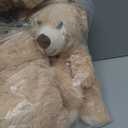 Teddy Bears Bulk 5 Packs 13.5 Inches Small Stuffed Bears Pack for Christmas Valentines Baby Shower Party Decorations Centerpieces Favors Light Brown