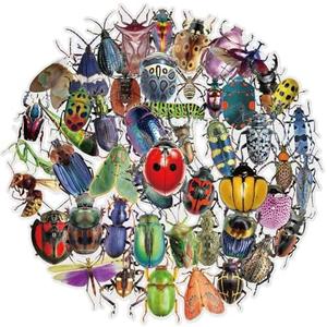 50PCS Transparent Insect Stickers for Kids, Waterproof Vinyl Realistic Bug Stickers, Aesthetic Lifelike Clear Insect Decals for Water Bottles, Laptops, Journals, & Bug Party Favors Gifts