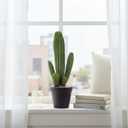 Artificial Cactus Fake Cacti 16" Faux Potted Cactus Plants for Home Store Office Decoration