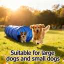 Dog Agility Tunnel with Carry Bag and Ground Spikes, Foldable 10-Foot Tunnel for Dog Training, Dog Agility Equipment for Outdoor, Backyard, Indoor Use, KINETOVOLTA, Large
