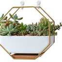 VanEnjoy 7" White Ceramic Wall Planters Vase and Copper,Drainage Hole with Bamboo Tray - Succulent Pot Air Plants Mini Cactus Artificial Flowers Hanging Geometric Hexagon Wall Decor (Gold Metal)