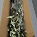 4ft Artificial Olive Tree Faux Olive Plant for Home Decor, Large Fake Olive Tree Modern Farmhouse Style, Floor Plant for Indoor Artificial Trees for Home Decor Indoor, Arbol de Olivo Artificial