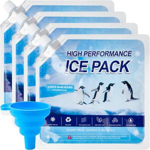 Reusable Ice Packs for Cooler, 4 Pack Freezer Ice Packs for Lunch Boxes, Cooler Ice Packs for Camping Gear, Fishing (Large)