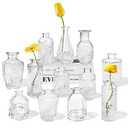 Only 11 Glass Bud Vases Set,Clear Bud Vases in Bulk,Small Vases for Centerpieces,Mini Vintage Vase for Flowers,Rustic Wedding,Home Table Decorations