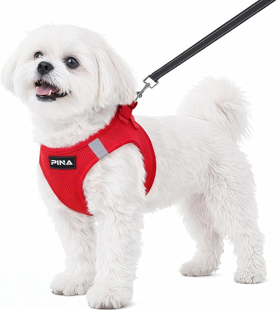 PINA Dog Harness for Small Dogs No Pull, Small Dog Harness and Leash Set, No Choke Breathable Mesh Dog Vest Harness, Lightweight Adjustable Small Medium Dog Harness - Easy to Put On and Take Off, Red (XS (Neck:10-11" , Chest:12-13"))