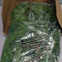 Grever 6 Feet Christmas Artificial Norfolk Pine Garland Real Touch Fake Evergreen Greenery Garland for Indoor Outdoor Fireplace, Mantle, Door, Windows, Table, Stairs, Wall, Wedding and Holiday Decor