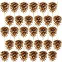 Winlyn 30 Pcs Christmas Pinecones Ornaments Gold Pine Cones Hanging with String Natural Pinecones Christmas Tree Decorations for Christmas Wedding Holiday Party DIY Crafts Wreath Garland Centerpiece