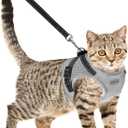 Cat Harness and Leash for Walking, Kitten Escape Proof Harnesses, Adjustable Reflective Puppy Harness with Leashes Set, Easy Adjustable Soft net Breathable Pet Safety Vest Grey (S (Chest: 9" - 11"))