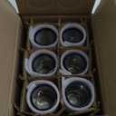 Hand Blown Mexican Drinking Glasses - Set of 6 Juice Glasses with Cobalt Blue Rims (8 oz each)