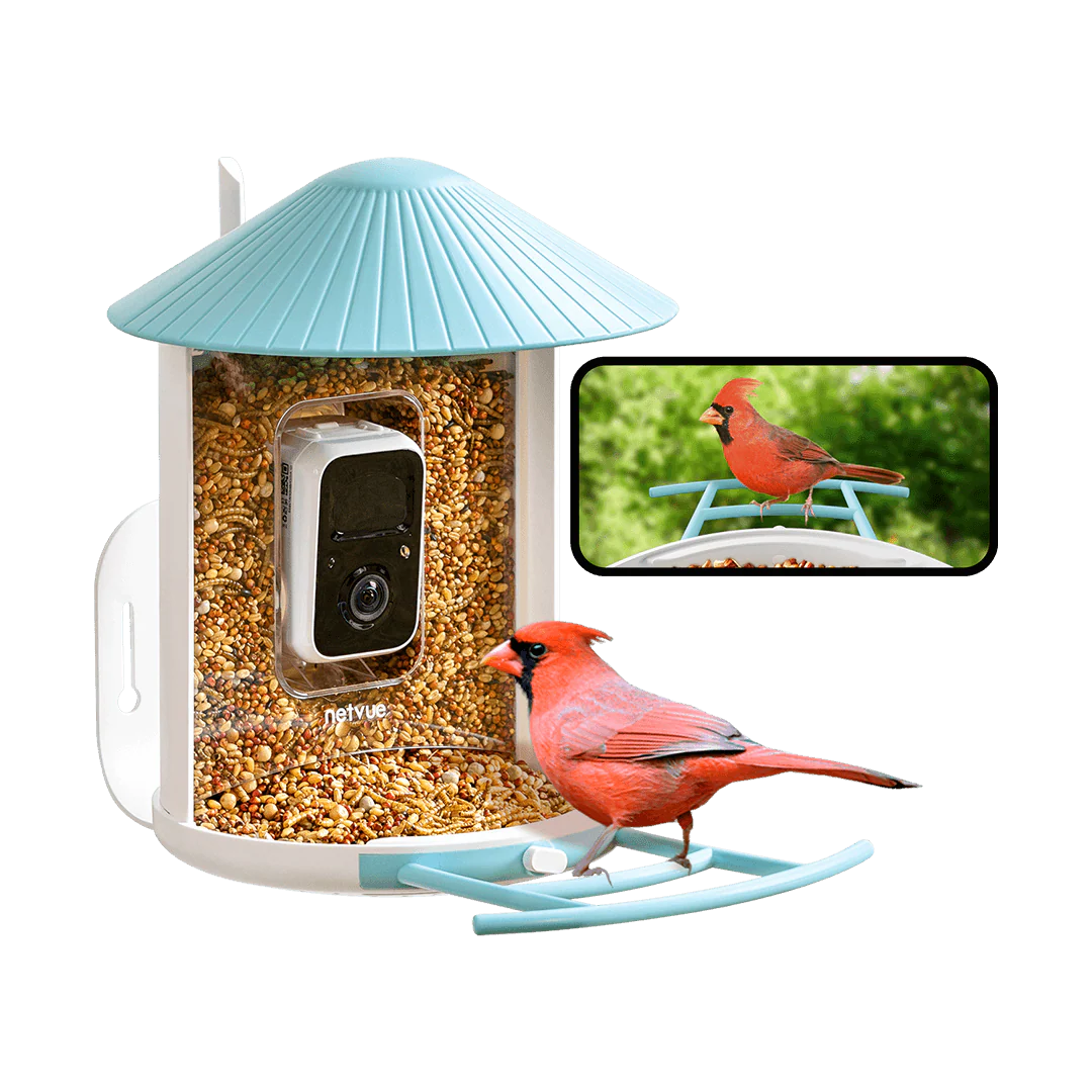 NETVUE by Birdfy Smart Bird Feeder with Camera Solar Power, Smart AI Birdwatching Camera, Auto Capture & Notify, Clear Day & Color Night Video & Pictures, Ideal Gift for Lover