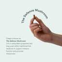 Dr Sosnowski's BioActive Chaga Mushroom Capsules | 1000mg High Strength Chaga Extract for Daily Support (120 Capsules)