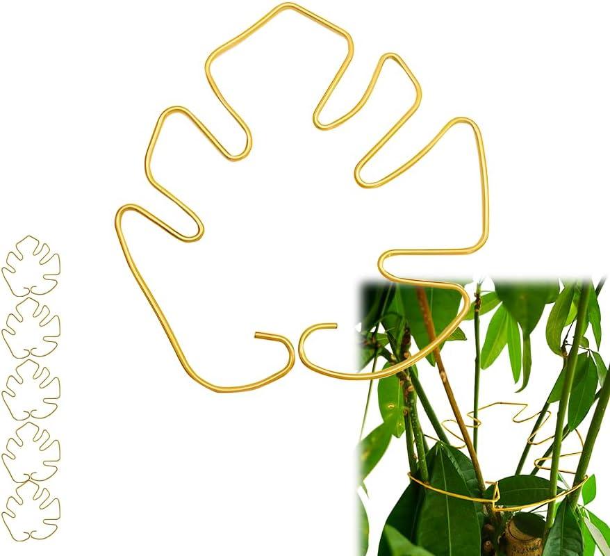 5PCS Monstera Plant Support, Uniquely Designed Plant Stem Support for Indoor Plants, Indoor Plant Trellis, Plant Lattice for Growth Accessories (7"×6.3", Gold)