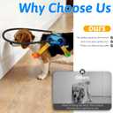 Blind Dog Halo Harness, Adjustable Blind Dog Collar with Protective Ring, Safe Walking Aid for Visually Impaired Pets, Comfortable Vest Design,22"-26"