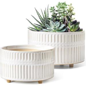LE TAUCI Succulent Planters, 6.5+8 Inch Ceramic Indoor Plant Pot with Drainage Hole, Shallow Round Succulent Pots, Set of 2, Reactive Glaze White