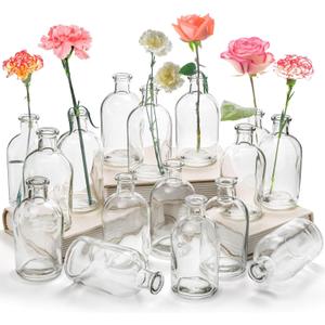 YOUEON 16 Pack Clear Glass Bud Vases, Small Bud Vases in Bulk, Glass Flower Vases for Centerpieces, Vintage Decorative Bottle Vases for Flowers, Home Decor, Wedding Reception, Office