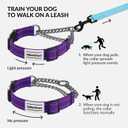 CollarDirect Martingale Dog Collar Heavy Duty Nylon Slip Collars for Small Medium Large Dogs [Stainless Steel Chain and Quick Release Buckle, Reflective, Purple, S, 12"-15"]