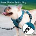 PoyPet No Pull Dog Harness, No Choke Reflective Dog Vest, Adjustable Pet Harnesses with Easy Control Padded Handle for Small Medium Large Dogs(Tumalo Teal,S)