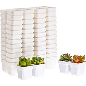 BangQiao 100 Pack 2.55 Inch Small White Plastic Square Nursery and Seedling Pot with Drain Hole for Germination, Cactus, Herb, Succulent