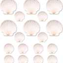 20PCS Natural Scallop Shells for Crafts & Baking - 6 Large (4-5in) & 14 Medium (2-3in) Seashells - DIY Painting, Beach Wedding Decor, Resin Art, Coastal Home Decoration, Party Centerpieces