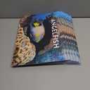10 x Angelfish Calendar 2026 Angel Fish Monthly Wall Calender 12 Month Tropical Fish Gifts | American Made In The USA
