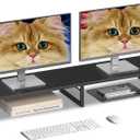 Dual Computer Monitor Stand Riser, Desk Organizers and Accessories, Printer & TV Stand, Desk Shelf, Office Desk Accessories & Desktop Workspace Organizer for Office Supplies, Black