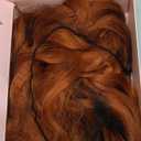 FABLLE Ginger Lace Front Wig - 30 Inch Long Body Wave, Pre-Plucked with Baby Hair, Sun Orange Color