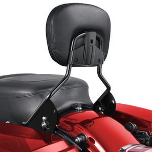 Benlari Passenger Backrest Sissy Bar, Detachable Quick Release Sissy Bar Backrest Fit for Harley Davidson Street GlideElectra Glide Road Glide Road King 2009-2024, Chrome (Chrome)