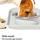 OXO Pet Nonslip Stainless Steel Dog Bowl - Medium, 2 Cup Capacity | Wide Mouth, Weighted Base, Comes Apart for Easy Cleaning, Dishwasher Safe, Cat Bowls