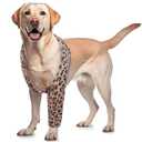 ROZKITCH Dog Elbow Sleeve for Front Right Left Leg, Pet Prevent Licking Wound Elbow Knee Protector, Dog Recovery Suit Cone Collar Alternative for Sprain ACL CCL Arthritis Joint Care Brown, Size: S(Chest Girth:15.7"-20.4")