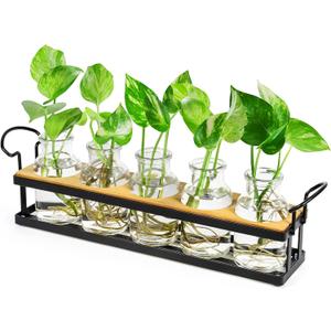 THYGIFTREE Plant Propagation Stations with Metal Stand, Tabletop Plant Terrarium for Propagating Hydroponic, Retro Glass Planter Flower Vase Home Kitchen Office Decor Gifts, 5 Jars (Black  5 Tray)