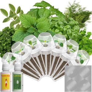 Gourmet Herb Seed Pods for AeroGarden, Ahopegarden, iDOO Hydroponics Growing System Indoor, 400+ Seeds, Germination Kits Include Basil, Cilantro, Dill, Parsley, Mint, Shiso, Liquorice(7-Pods)