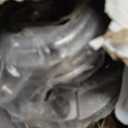 PAROD HA590125 AWD Front Wheel Bearing and Hub Assembly Compatible with Infiniti G25 G35 G37 Q40 Q50 Q60 Q70 Q70L QX50 QX70 EX35 FX35 EX37 FX37 FX45 FX50 M35 M37 M45 M56