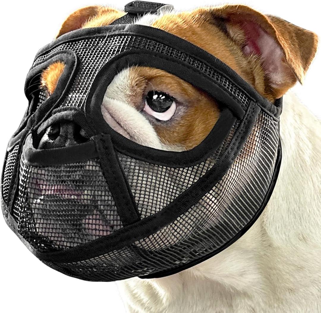Mayerzon Short Snout Dog Muzzle for French Bulldog with Full Pant Design to Prevent Eating Biting, Soft Mesh Dog Muzzle for Shih Tzu Pug English Bulldog for Grooming Walking, Allow to Drink and Feed (L [Head Cir: 20.5"-23"], Black)