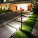 Bshine Solar Garden Decoration Outdoor Cardinal Lights, Hand Blown Glass Waterproof Solar Light Stake Red Cardinal Decorate Paths, Pathways, Lawns and Yards Art for Mom Gift, 2 Pack