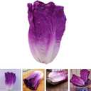 Alipis Artificial Vegetables Purple Lettuce Faux Plants for Table Home Decor Realistic Pu Simulation Fake Lettuce Model for Kitchen Display and Educational Use