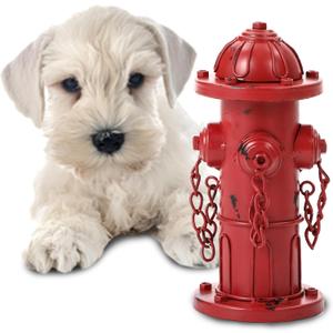 7.8" H Metal Potty Training Fire Hydrant for Dogs to Pee On, Vintage Small Dog Fire Hydrant Pee Post for Indoor or Outdoor Garden Decor