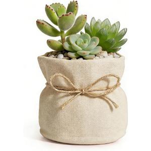 Succulent Pots Flower Pots for Indoor Plants Cute Plant Pots Candy Bowl for Office Key Holder Bowl Farmhouse Table Decor (White) (Large)