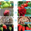 Hywyimlait Grow Lights for Indoor Plants, 84LEDs Clip Plant Lights, Full Spectrum LED Plant Growing Lamps with FlexibleGooseneck4/8/12/18H Timer, 3 Spectral Modes, 10 Dimmable Levels (1 Pack)