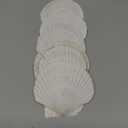 10 PCS Large Scallop Shells 4-5 inch Natural White Scallop Shells from Sea Beach for DIY Craft Decor