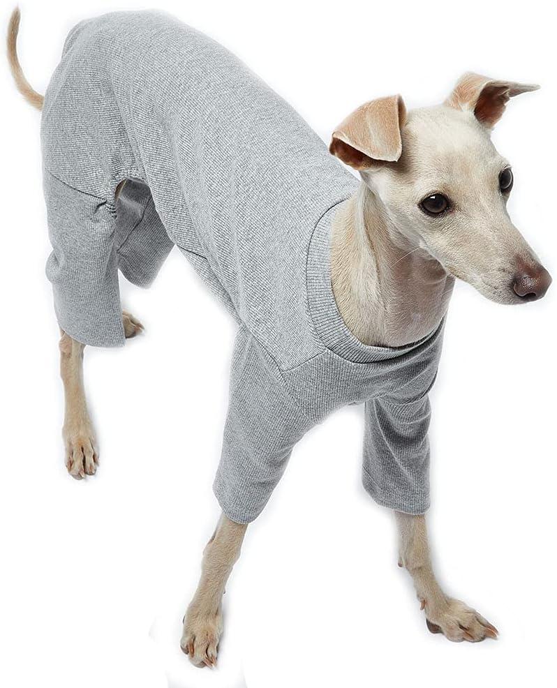 Basic Soft Dog Pajamas for Small Dog Onesie Doggie Jammies Dog Shirt Stretchable Dog Jumpsuit Bodysuit pjs (Large, Basic Gray)