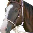 Mustang Breaking Hackamore Bridle for Horse | Durable Horse Bitless Bridle with 7/16" Rope Noseband, 3/4" Headstall & Flat Braided Reins