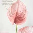 Ling's moment Artificial Anthurium Plants, 8pcs Shabby Blush Silk Filler Flower, Pink Faux Greenery Stems for DIY Wedding Bouquets Centerpieces Arrangements Bridal Shower Party Home Decorations