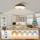 OKELI LED Flush Mount Ceiling Light Fixture, 24W Dimmable 5CCT Modern Black Gold Ceiling Light, 11.8 Inch Close to Ceiling Lighting for Bedroom Kitchen Living Room Hallway, 11.8x4.7inch