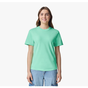 Comfort Colors Adult Heavyweight Short Sleeve Tee, Style G1717/G1745, Multipack, Size Small